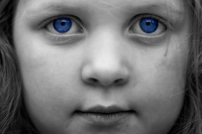 dreamstimefree_1488283