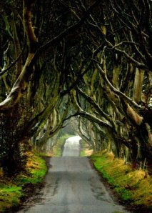 393552_10150412376422554_2020004548_n